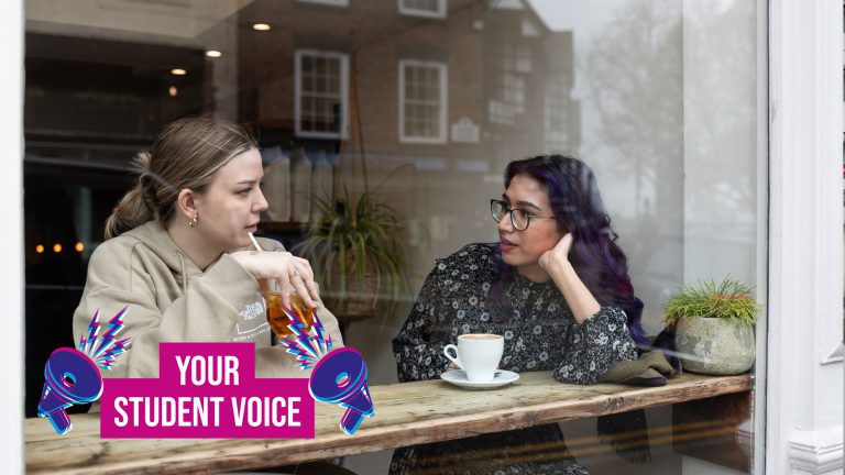 Your Student Voice: Careers & Employability