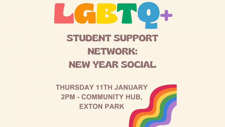 LGBTQ+ Student Support Network: New Year Social