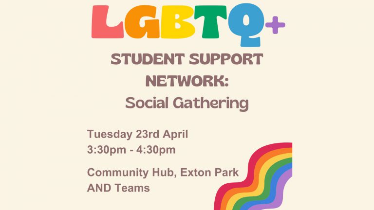 LGBTQ+ Student Support Network: Social Gathering