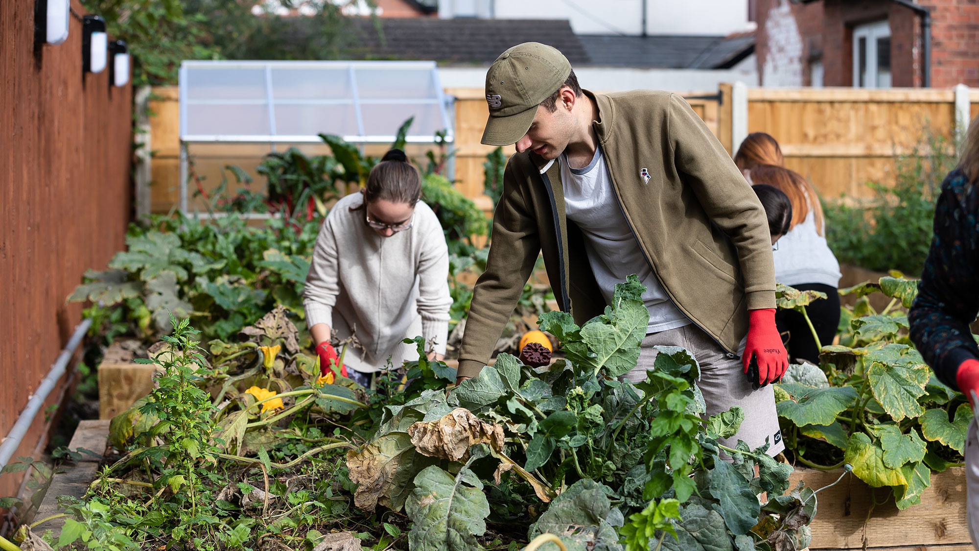 Allotment session