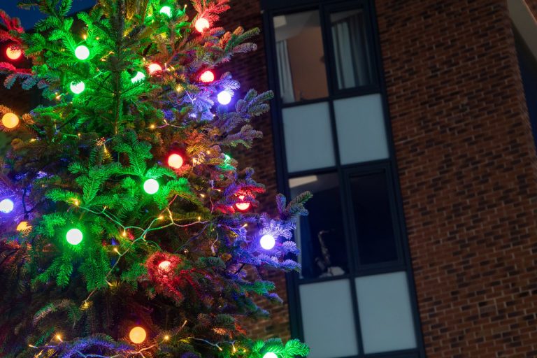 Decorate our Campus Christmas Trees!