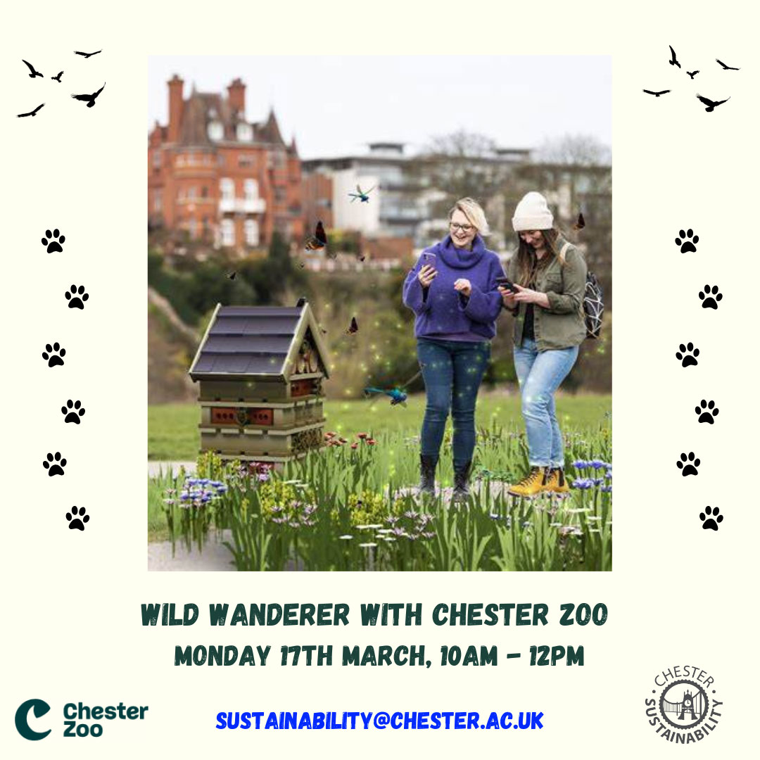 Wild Wander with Chester Zoo