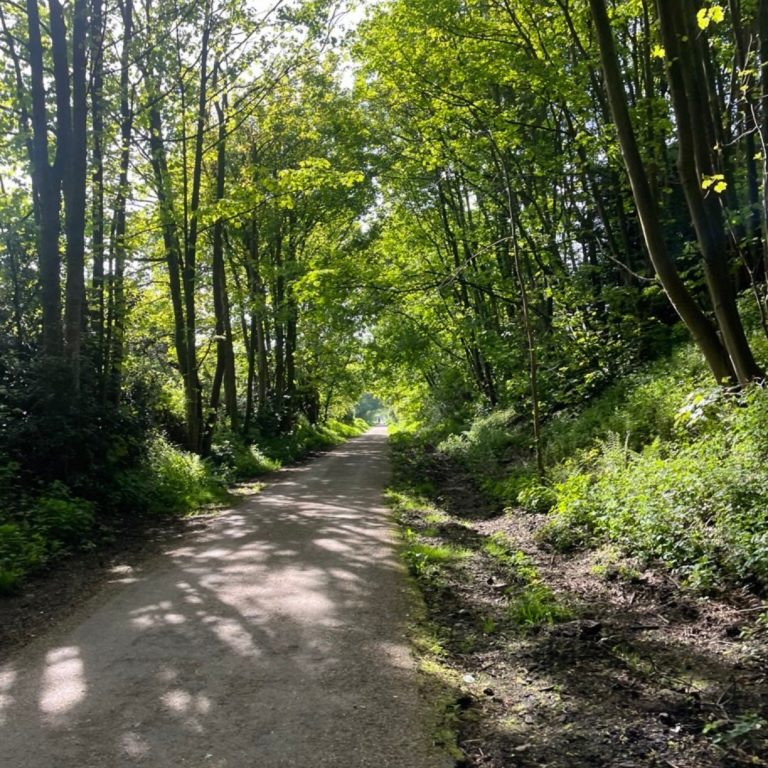 Nature & Wellbeing Walk along the Wirral Way