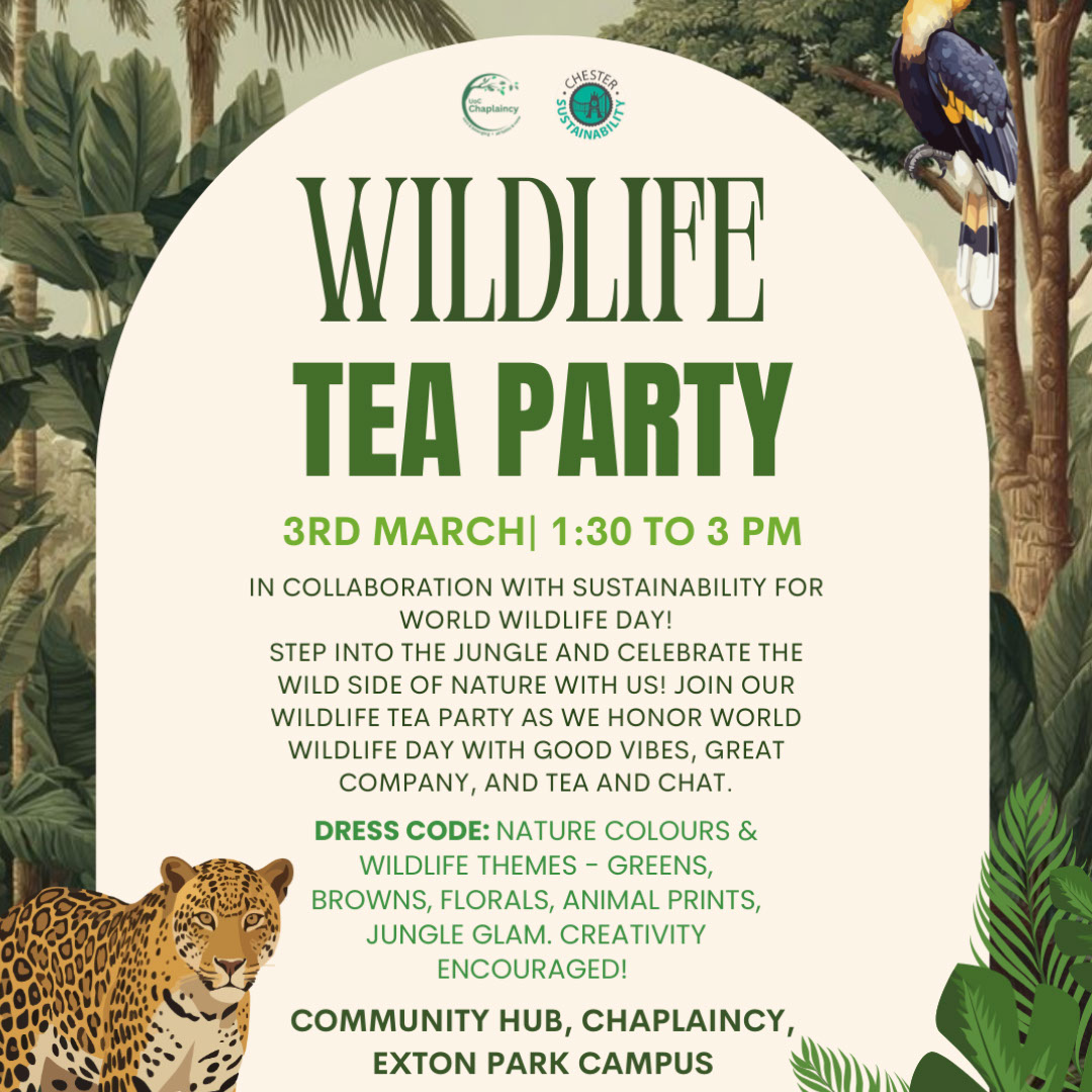 Chaplaincy: Wildlife Tea Party