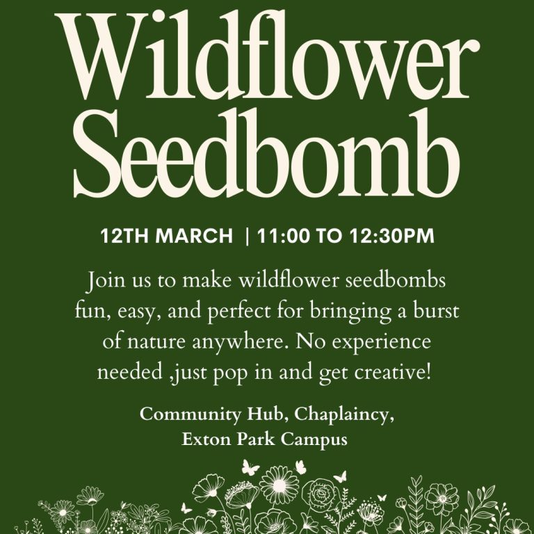 Chaplaincy: Wildflower Seedbomb
