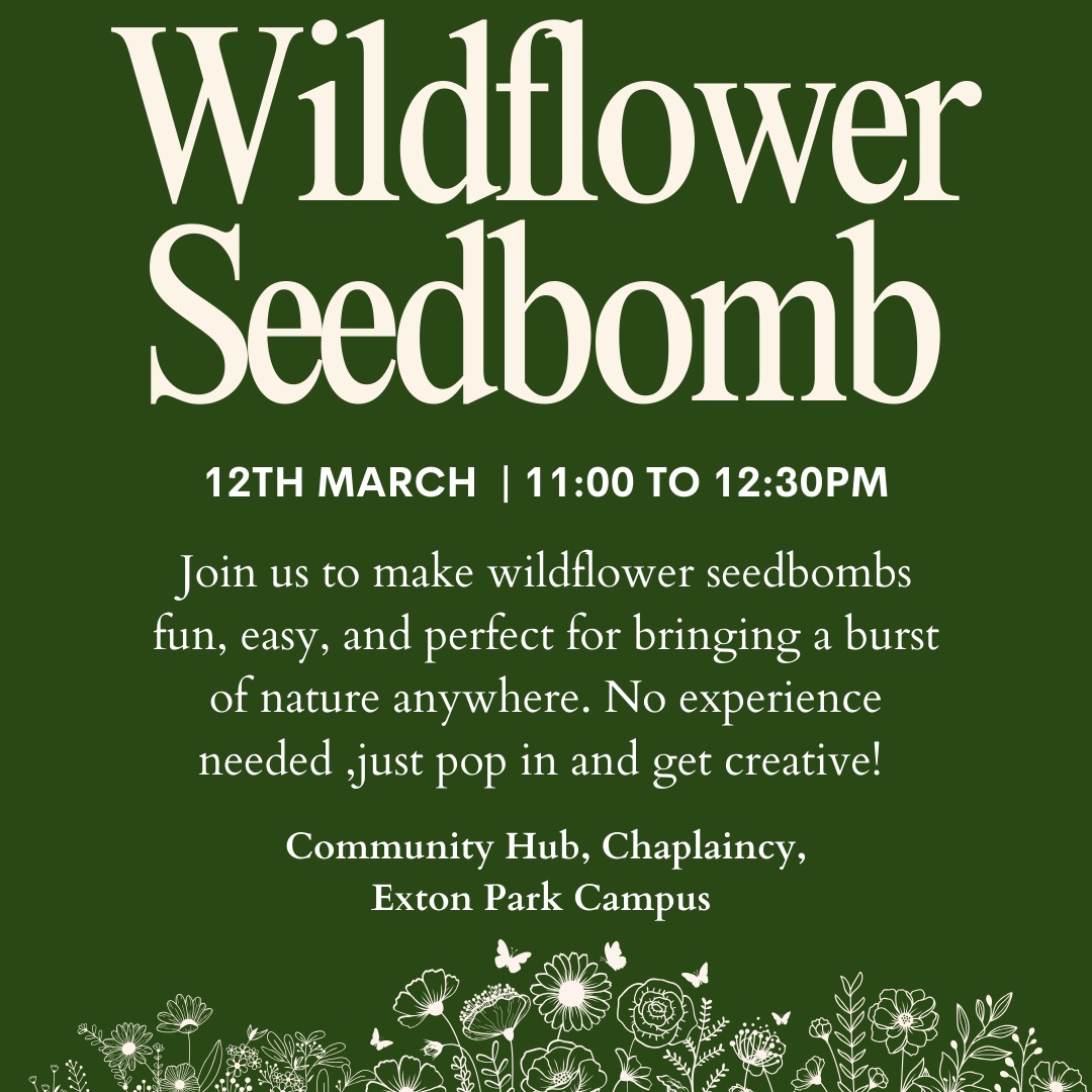 Chaplaincy: Wildflower Seedbomb