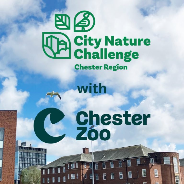 City Nature Challenge: Wildlife Recording with Chester Zoo on campus