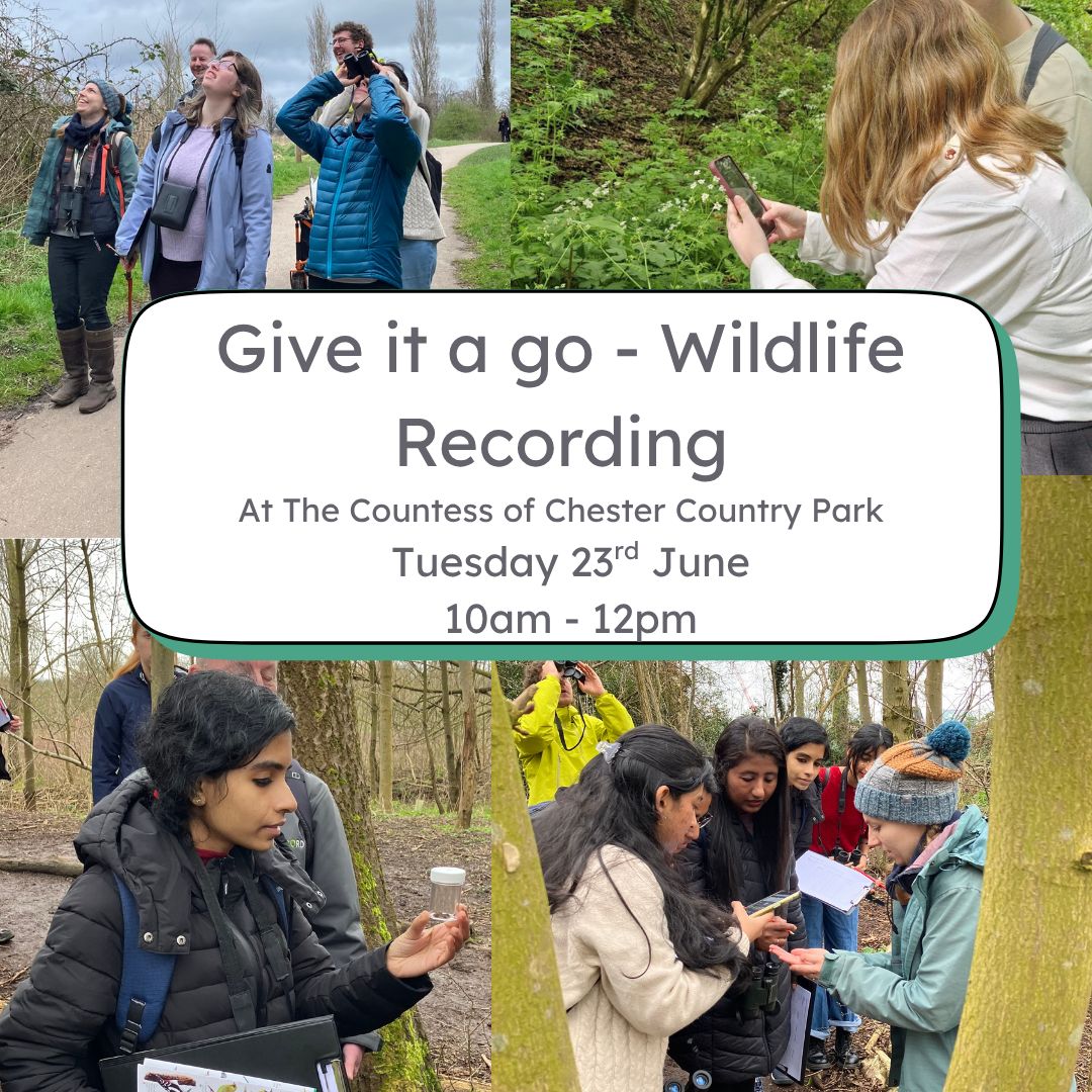 Wildlife recording